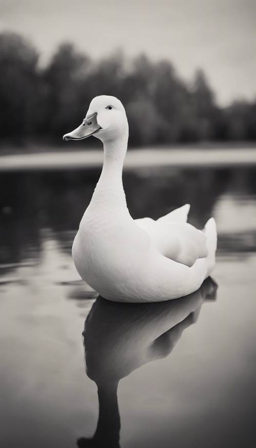 Ein antikes, monochromes Foto mit einem detaillierten Porträt einer weißen Ente, die im Herbst auf einem ruhigen See schwimmt.