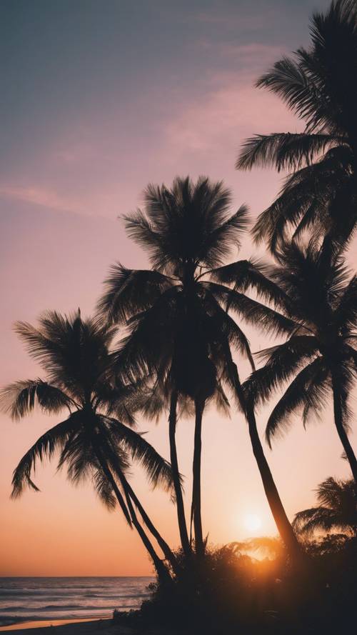 A tropical beach at dusk, with a mesmerizing sunset and palm trees in the silhouette.