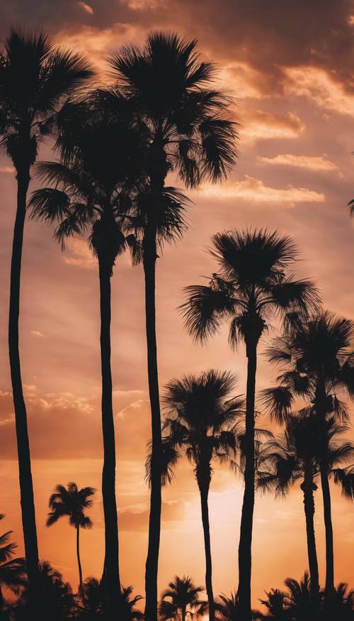 Wiele czarnych palm sylwetkowych na tle dramatycznego zachodu słońca.