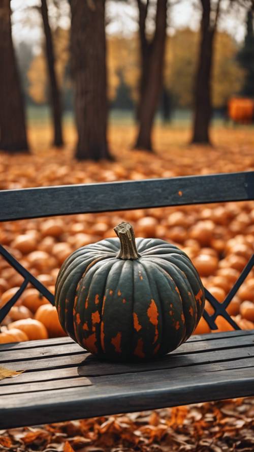 A pumpkin with perfectly symmetrical grooves and a rich, deep orange color, sitting on a park bench with autumn scenery in the background