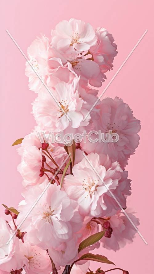 Délice de fleurs de cerisier roses