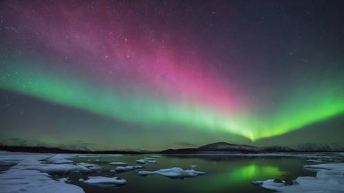 北極夜の空を流れる流星とオーロラ