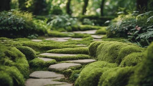 Um caminho de pedras cobertas de musgo serpenteando por um jardim verde, com uma citação sobre jornada.