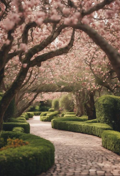 Un giardino botanico con una rete di sentieri ad arco fiancheggiati da alberi di pesco e magnolia.