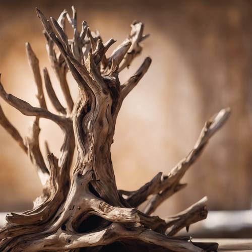 A sculpture made from well-polished driftwood emanating a subdued brown aura.