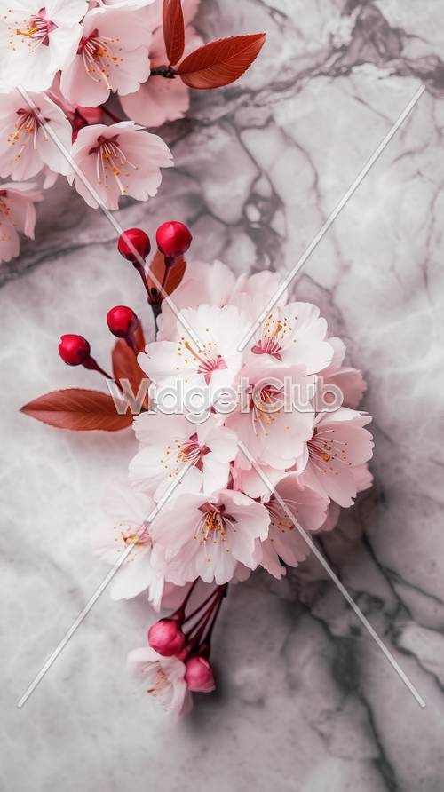 Beautiful Cherry Blossoms on Marble Background