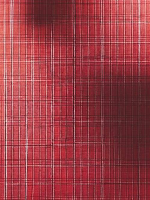 Close-up of a page of a red plaid notebook.