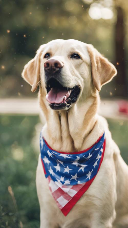 A cheerful yellow Labrador retriever wearing a 4th of July bandana.