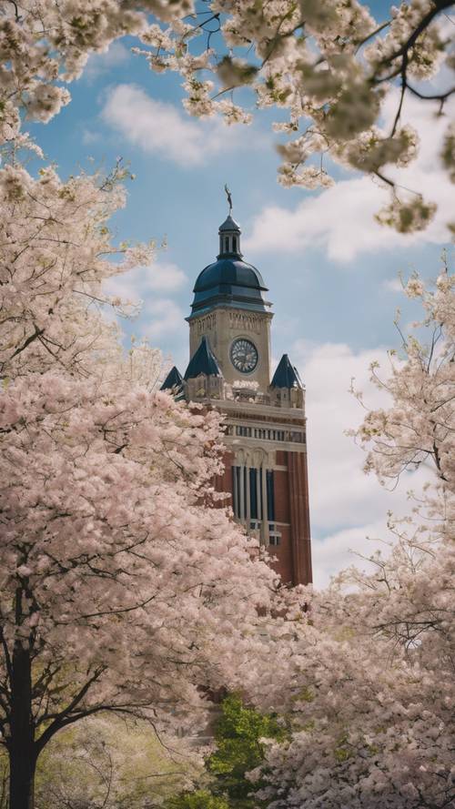 The University of Michigan campus elegantly covered in spring blooms, the grand clock tower standing prominently in the center.