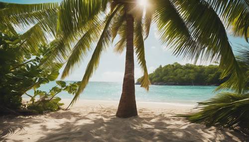 뜨거운 태양으로부터 그늘을 제공하는 무성한 녹색 야자수가 있는 카리브해 해변입니다.