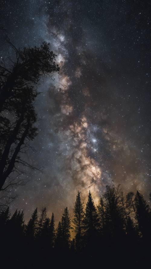 Uma astrofotografia mostrando a radiante Via Láctea, em contraste com a silhueta escura de uma floresta.