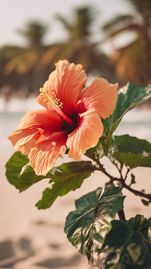 Una flor de hibisco vibrante y tropical en plena floración con el telón de fondo de una playa tropical.