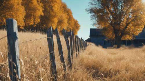 Uma cerca de estacas desgastada margeando um milharal farfalhante, sob o céu azul fresco e fresco de um dia de meio de outono.