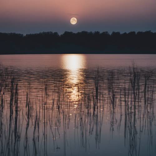 An enchanting view of a full moon night sky reflected on the calm waters of a still lake.