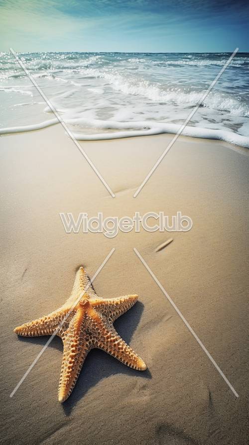 Starfish on the Sunny Beach Shore