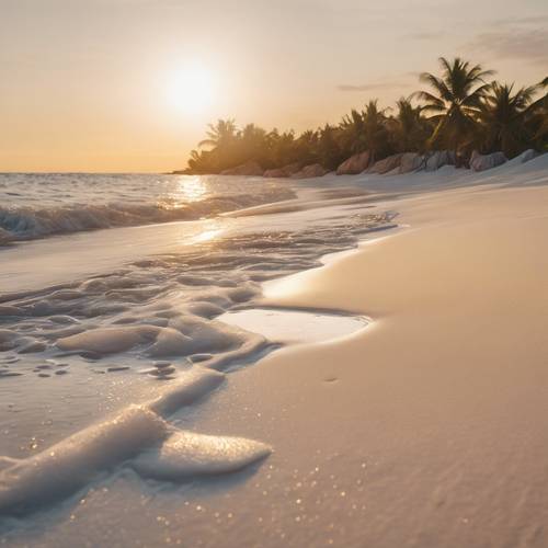 A pristine white sand beach with golden accents from the setting sun.