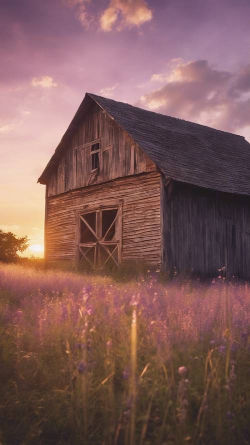 Un coucher de soleil doré et lilas engloutissant une grange rustique dans un champ herbeux.