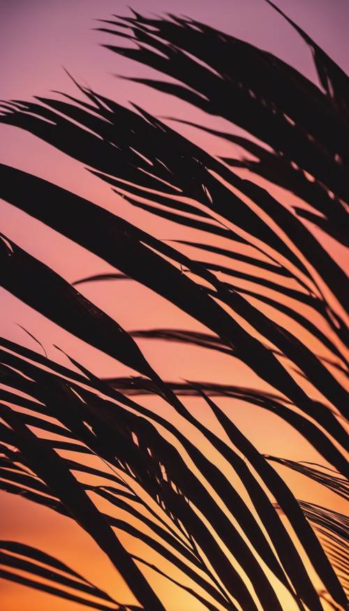 Ein leuchtend schwarzes Palmenblatt vor der Kulisse eines feurigen Sonnenuntergangs.