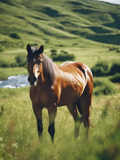 Um cavalo selvagem pastando pacificamente em um prado verdejante, enquanto um rio suave corre nas proximidades.
