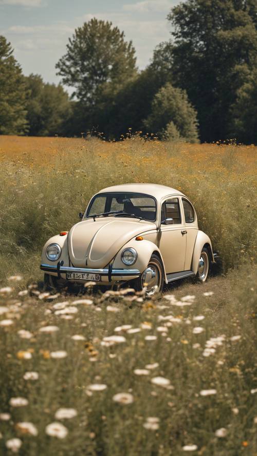 Ein makelloser beiger VW Käfer aus den 1970er-Jahren, eingebettet in ein Feld voller Wildblumen.