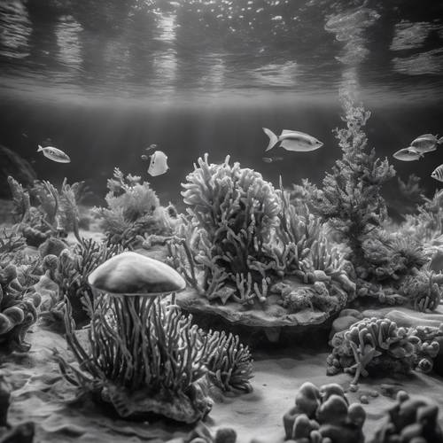 Черно-белая реконструкция доисторического океана, изобилующего морской жизнью, сцены ушедшей эпохи.