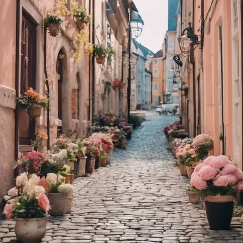 Charmante Kopfsteinpflasterstraße in einer alten europäischen Stadt, mit pastellfarbenen Gebäuden und Blumentöpfen am Wegesrand.