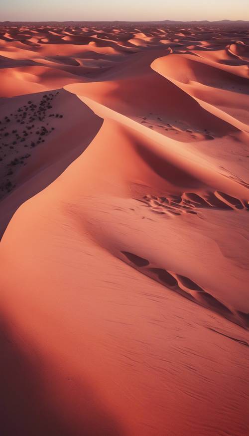 An aerial view of a light-red hued desert at sunset.