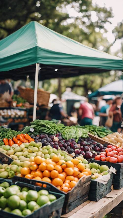 A vibrant farmer’s market in Jacksonville, with stalls full of fresh produce and local crafts under a canopy of oak trees. Tapeta [5cf552fdc26248a1a6fe]