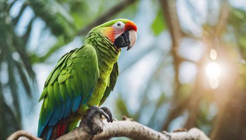 A strikingly colorful parrot with light green plumage perched on a branch