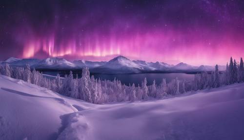 Un panorama innevato illuminato dall&#39;aurora boreale con dominanti tinte viola.