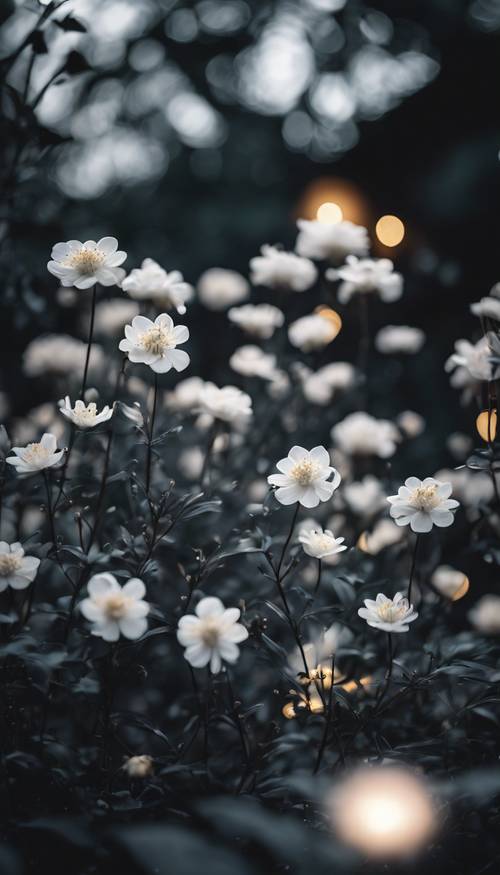 Koyu gri yapraklara karşı parlak beyaz çiçeklerle dolu büyüleyici bir gece yarısı bahçesi.