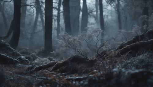 Un&#39;antica foresta grigia avvolta nella nebbia marmorizzata e nella luce della luna, alcune creature notturne sono appena visibili.