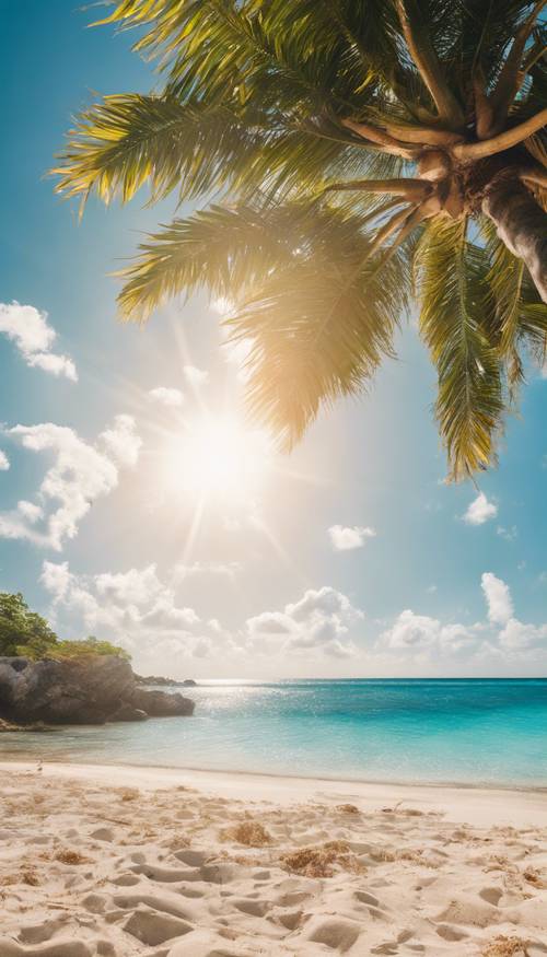 شاطئ كاريبي نابض بالحياة خلال منتصف النهار، مع سماء زرقاء صافية وشمس مشرقة.