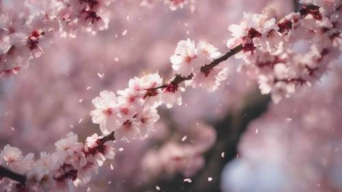 Un tranquillo albero di ciliegio in fiore con una citazione ringiovanente scritta sui petali che cadono.