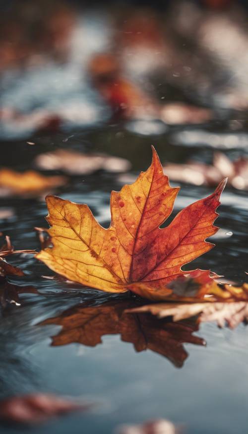 Uma folha de outono vibrante e colorida pousada na superfície de um lago calmo.