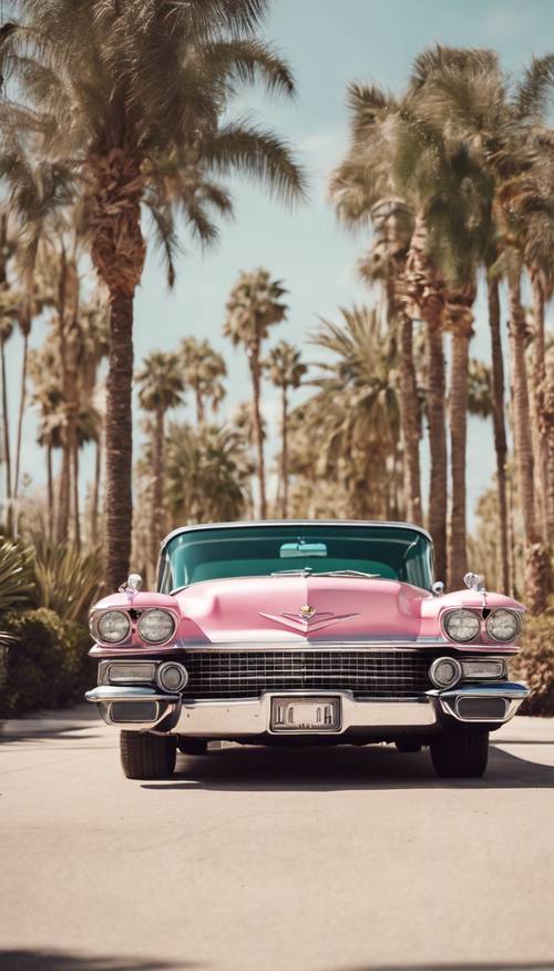 Ein rosafarbener Cadillac im Vintage-Stil, geparkt zwischen Palmen aus Hollywood