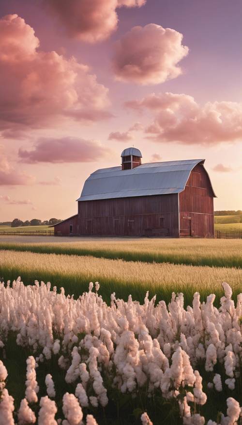 A peaceful rural scene featuring a barn and farmlands under an expansive cotton candy sky. Tapeta [a173b16662de4f9ca438]