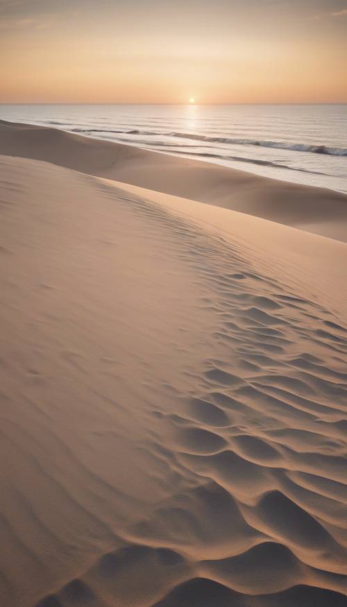 A calm gray beach at sunset with beige sand and dunes.