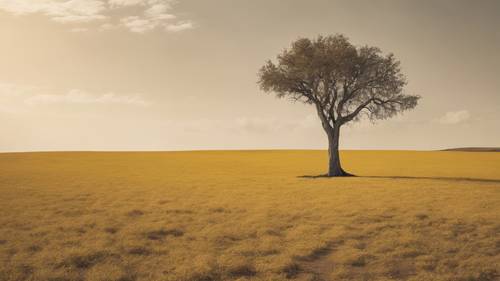Sebatang pohon berdiri sendirian di tengah dataran kuning yang sepi.