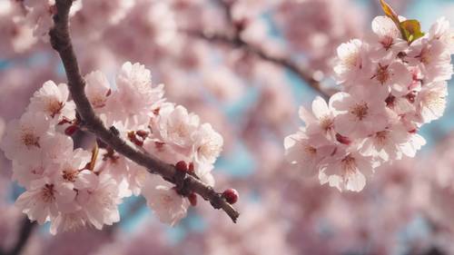 Beautiful cherry blossom trees in full bloom, with the quote 'Bloom where you are planted' softly materializing from the falling petals.