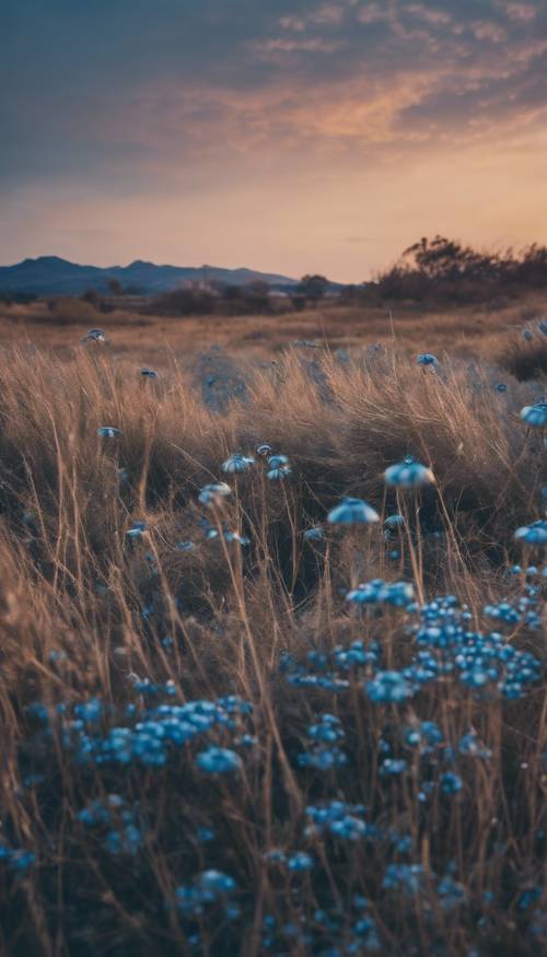 A serene landscape at dusk, subtly shaped as a blue evil eye detailing. Tapet [c49e88b3ebb54f12b285]