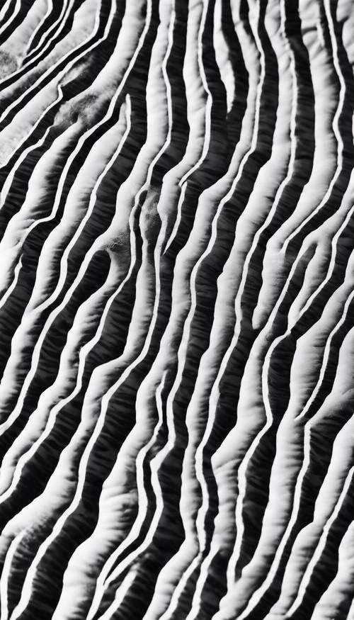 Pola garis-garis zebra yang berulang bercampur dengan bintik-bintik abu-abu samar. Wallpaper [18c82746dad143ca9eac]