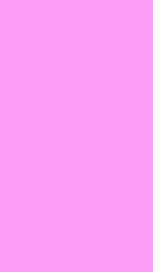 Bright Pink Simple Background Tapetai [ed92c9d4dd5a4fcea446]