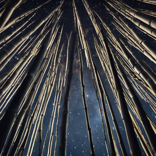 A starry night sky viewed through a cluster of bamboo stalks