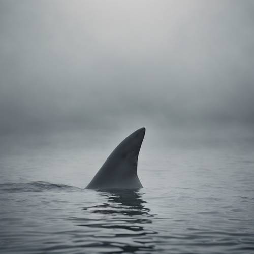 Tajemnicze zdjęcie płetwy rekina wystającej z mglistych wód pod szarym niebem.