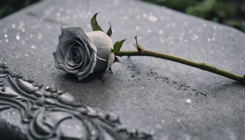 A single gray rose laid respectfully on an ancient, weather-beaten gravestone.