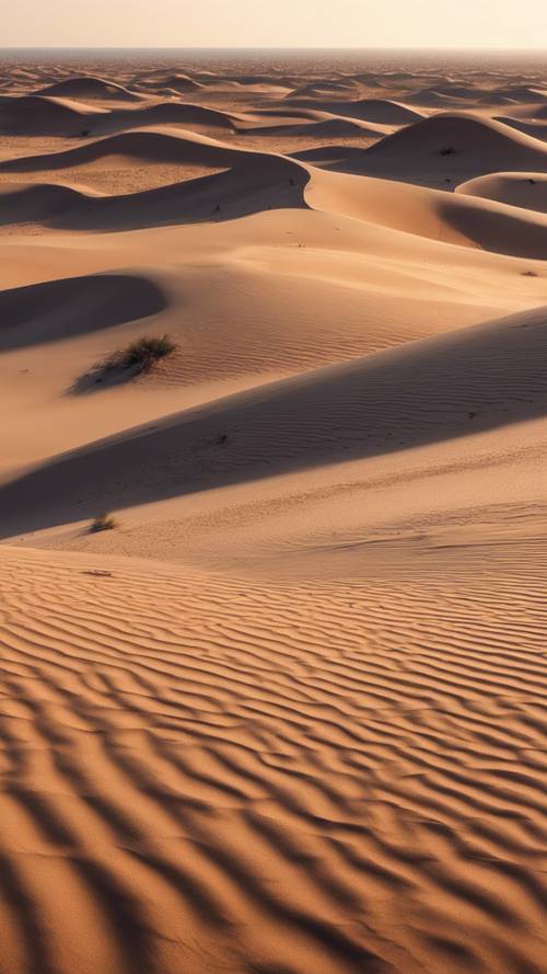 Подробная панорама пустыни Дюны на рассвете, с появляющимися песчаными червями и двумя лунами над головой.