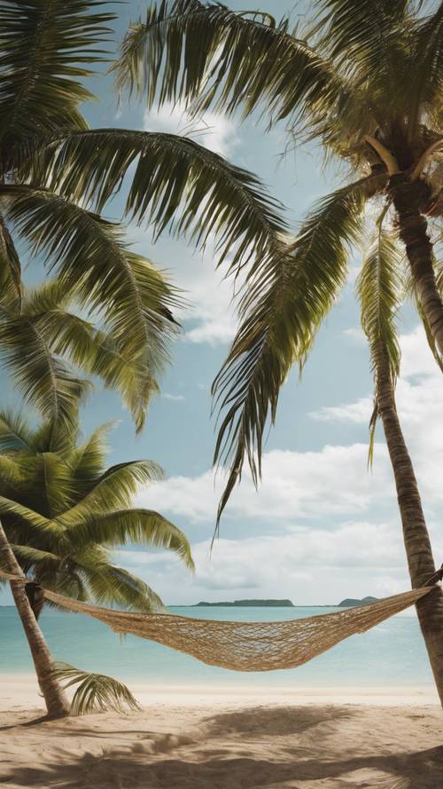 A palm leaf hammock hanging between two palm trees on a deserted island.