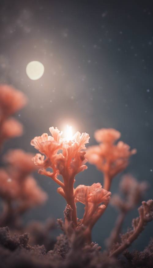 Yumuşak bir ay ışığıyla aydınlatılan tek bir mercan çiçeği.