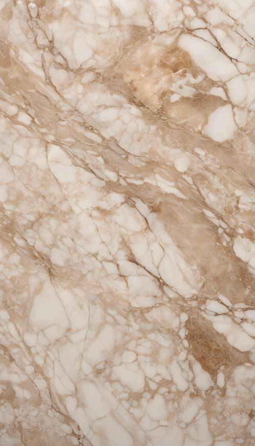 A close-up of beautifully veined beige marble. Tapet [0d65a038daa14a8a8664]